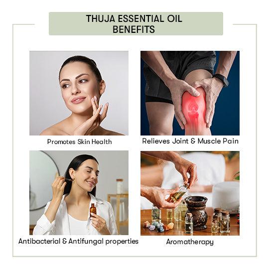 Thuja Essential Oil
