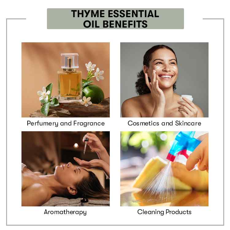 Thyme Essential Oil Benefits