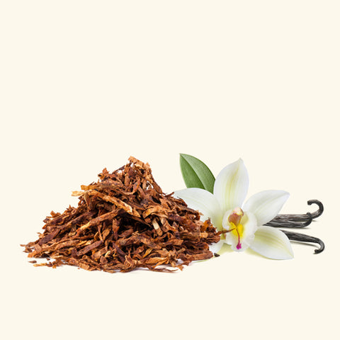Tobacco Vanilla Fragrance Oil