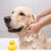 Transparent Pet Shampoo Base ( Ready to Use )