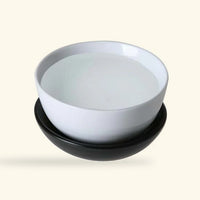 Vegetable Glycerin - 99.7% Grade (Food Safe)