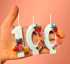 0-9 Number Birthday Candle Mould ( NSA )