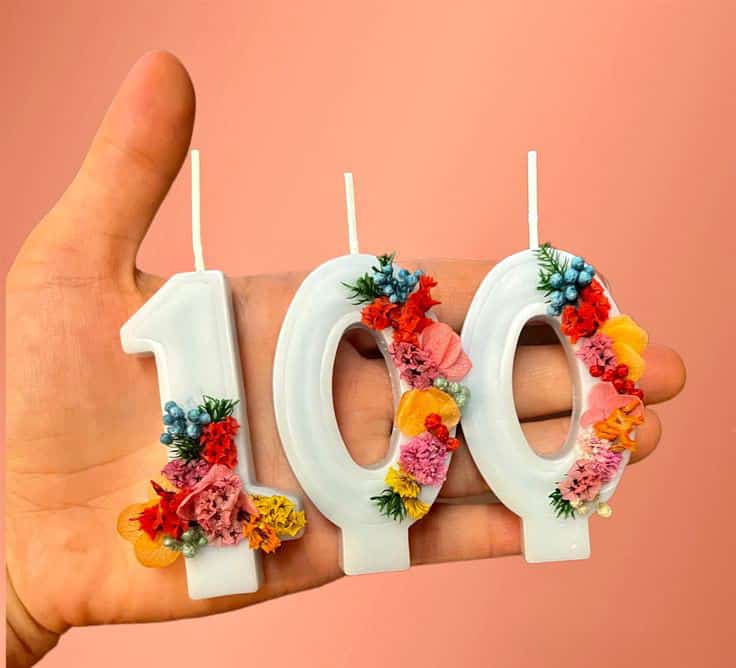 0-9 Number Birthday Candle Mould