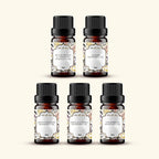 Winter Fragrance Oils Sample Kit 