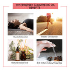 Wintergreen (Gaultheria) Essential Oil Benefits