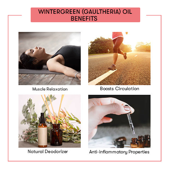 Wintergreen (Gaultheria) Essential Oil Benefits