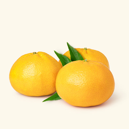 Yellow Mandarin Essential Oil