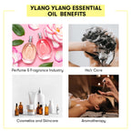Ylang Ylang Essential Oil Benefits