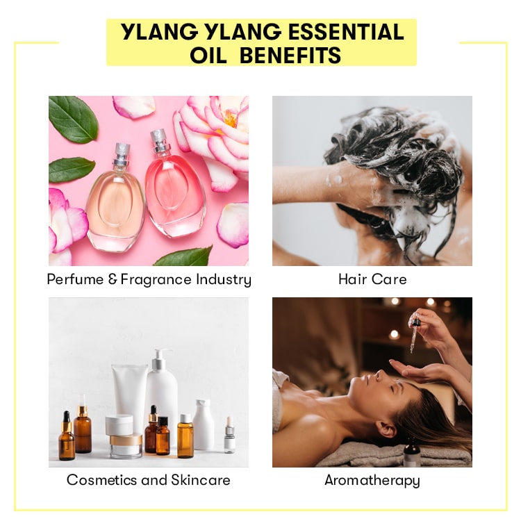 Ylang Ylang Essential Oil Benefits