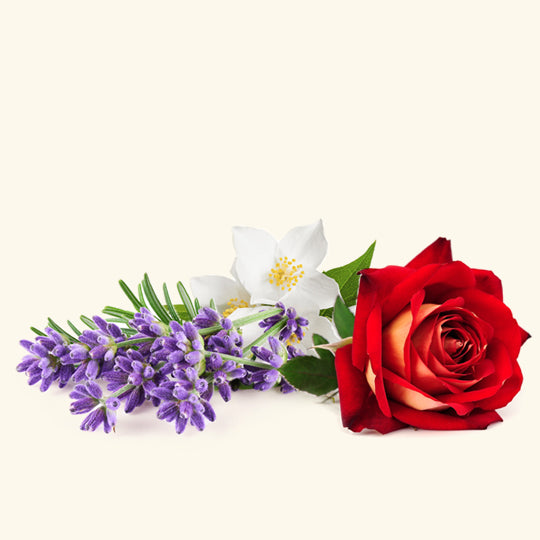 Zeenath Fragrance Oil