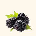 buy Black Raspberry Fragrance Oil Online