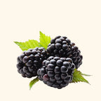 buy Black Raspberry Fragrance Oil Online
