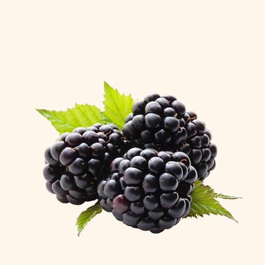 buy Black Raspberry Fragrance Oil Online