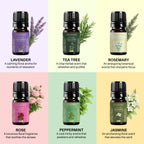 Essential Oils Gift Set