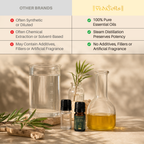 Essential Oils Gift Set