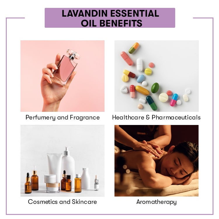 lavandin Essential Oil Benefits