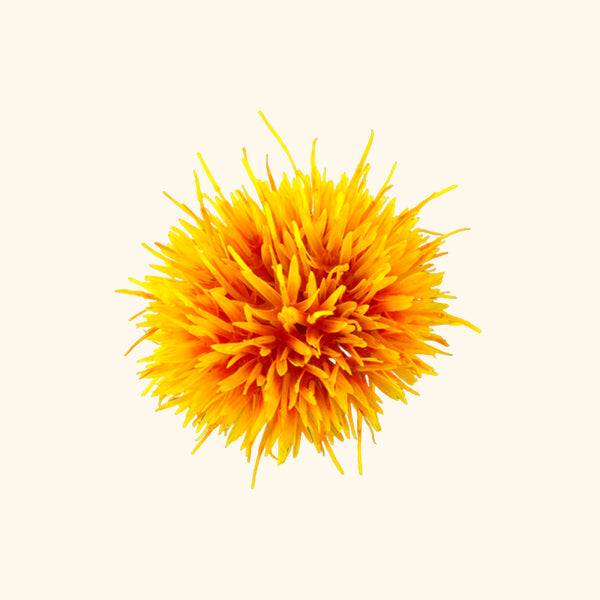 Safflower Oil