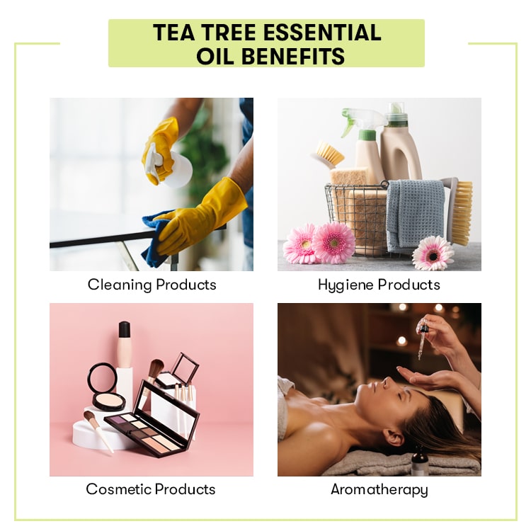 tea tree essential oil Benefits