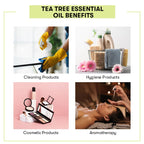 tea tree essential oil Benefits
