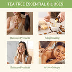 Tea Tree Oil + Rosemary Oil - Hair Growth Power Duo