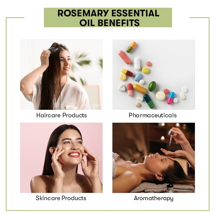 wholesale rosemary oil Benefits