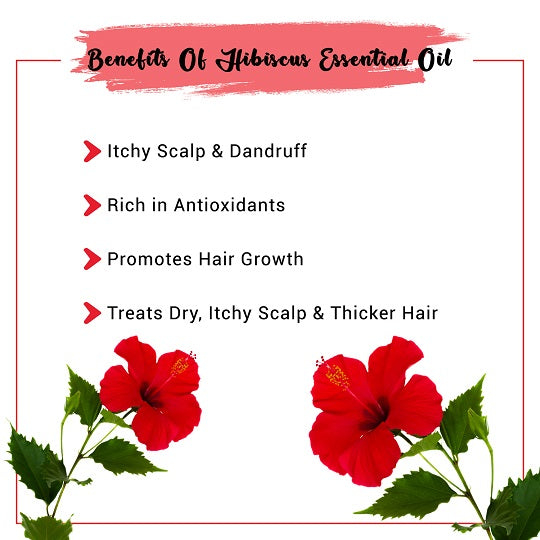 SVN Herbal Root Booster Hibiscus Hair Oil (Semparuthy) OIL - 200ml Hair  Fall, Controls Dandruff, Repairs Damaged Hair | Shopee Malaysia