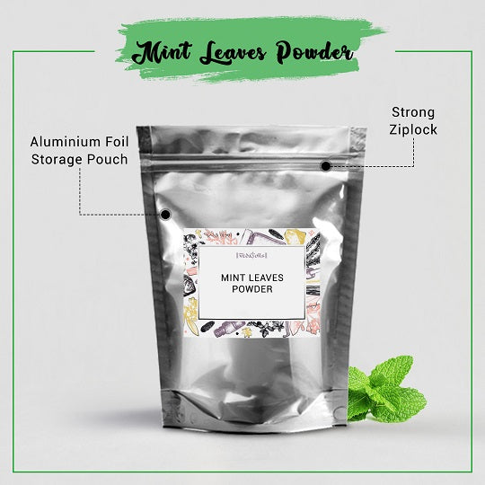 Mint Leaves Powder Bulk Supplier