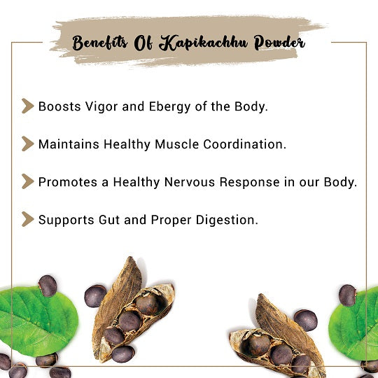 Kapikachhu Powder Benefits