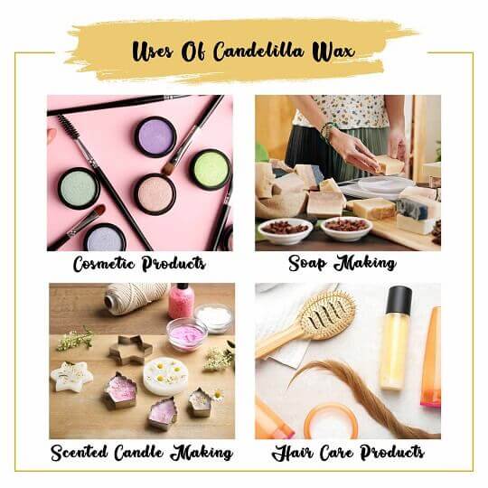 Candelilla Wax Uses