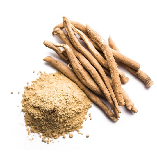Ashwagandha Powder bulk Supplier