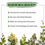 Benefits of Henna Powder 