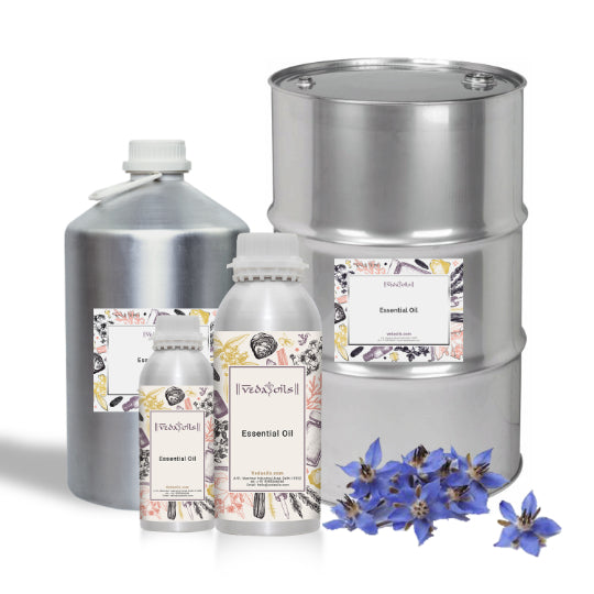Blue Tansy Essential Oil Bulk