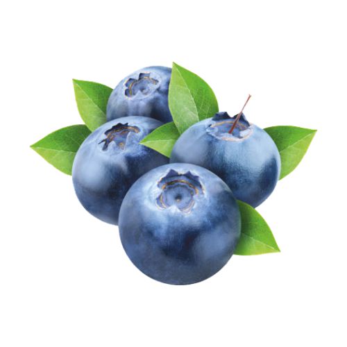 Buy Blueberry Flavor Oil Online