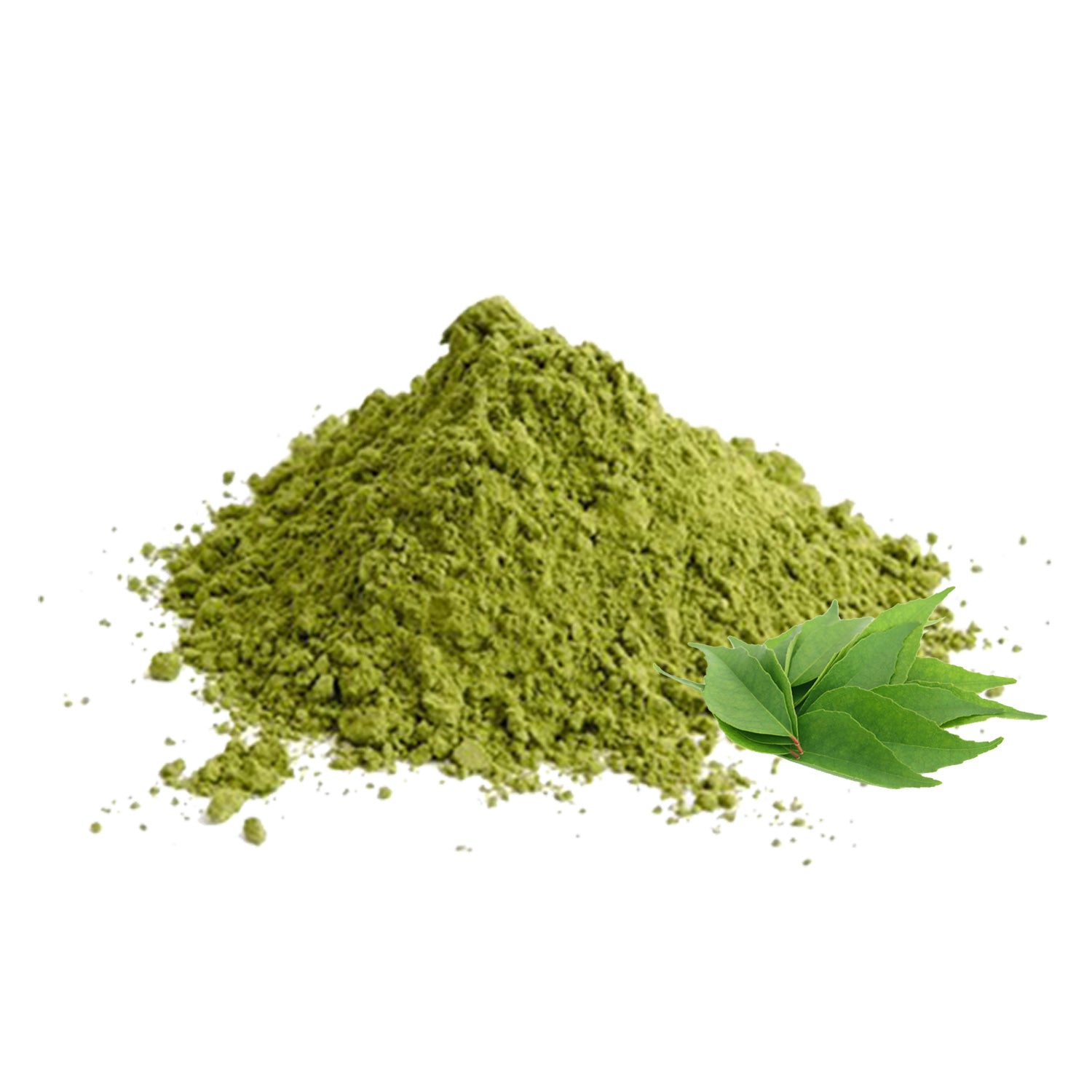 Buy Curry Leaves Powder