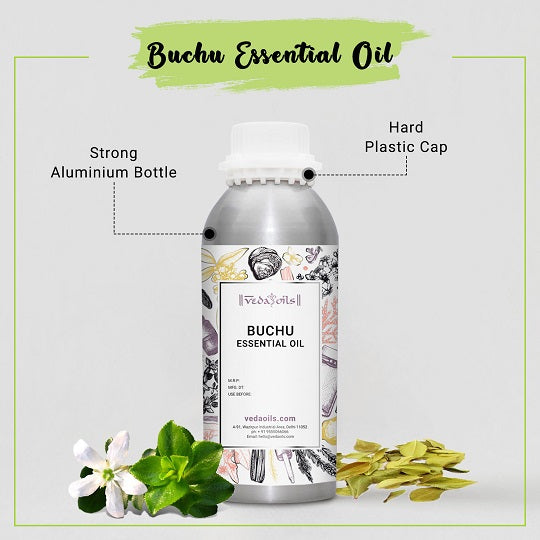 Buy Natural Buchu Essential Oil