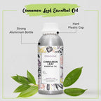 Buy Natural Cinnamon Leaf Essential Oil