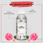 Buy Rose Geranium Essential Oil