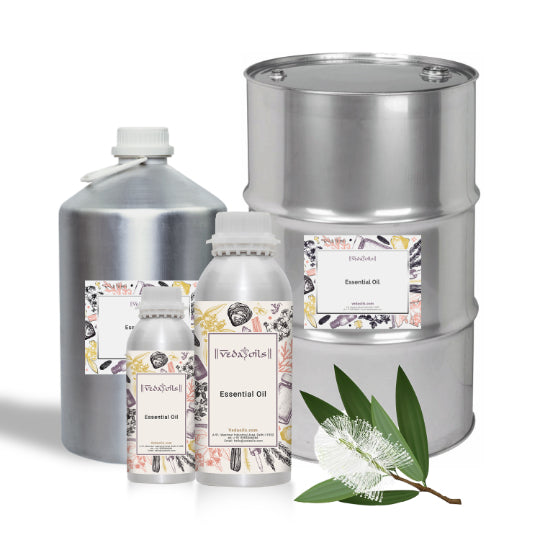 Cajeput Essential Oil