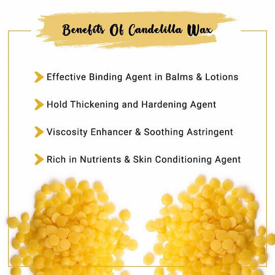 Candelilla Wax Benefits