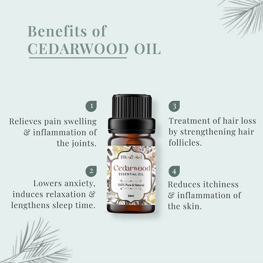 Cedarwood Oil Benefits