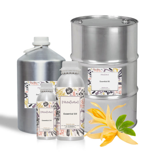 Champaca Essential Oil Bulk