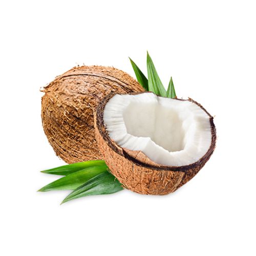 Buy Coconut Flavor Oil Online