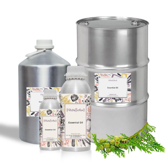 Cypress Essential Oil Bulk