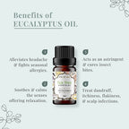 EUCALYPTUS oil benefits 