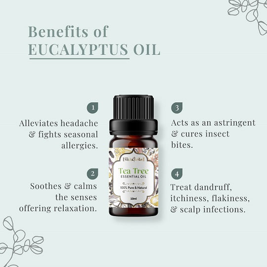 EUCALYPTUS oil benefits 