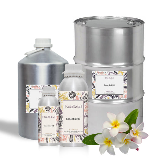 Frangipani Essential Oil Bulk