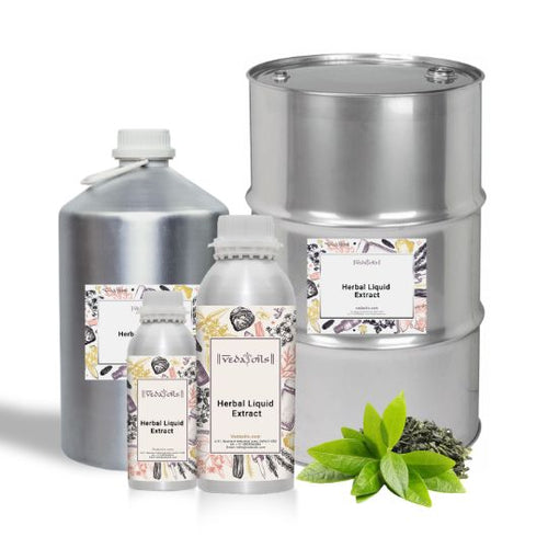 Bulk Green Tea Liquid Extract