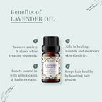 LAVENDER Oil Benefits