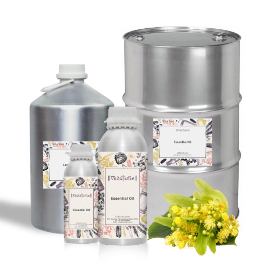 Linden Blossom Essential Oil Bulk