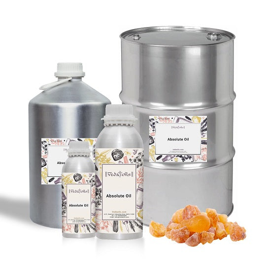 Olibanum Absolute Oil Bulk